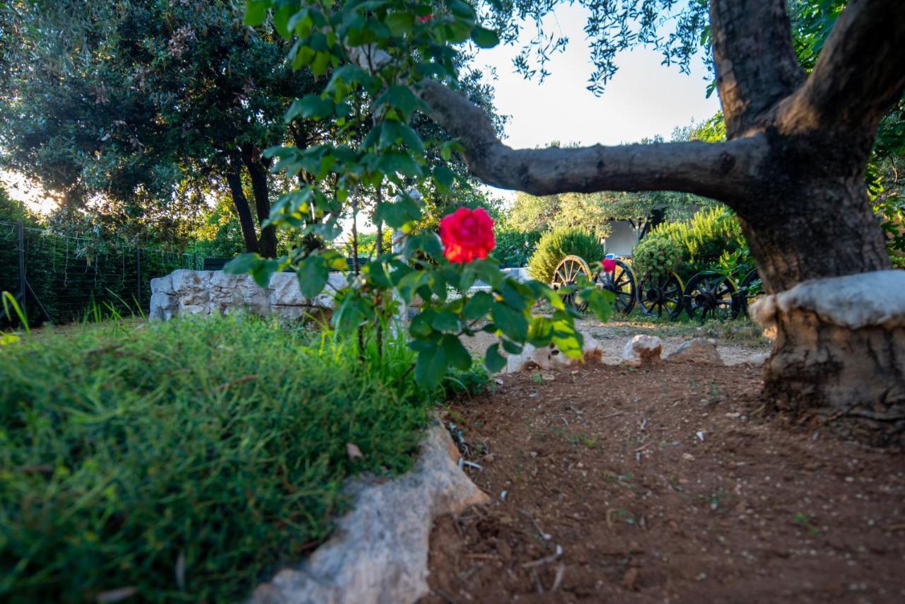 Holiday House Cvita بيوغْغاد نا موغو المظهر الخارجي الصورة